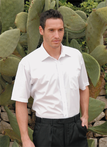 Classic Polycotton Buisness Shirt