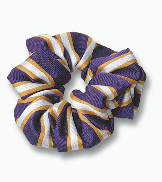 Hair Scrunchie